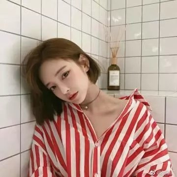 兽娘动物园